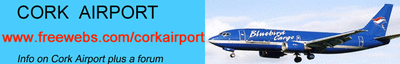 cae_logo.gif